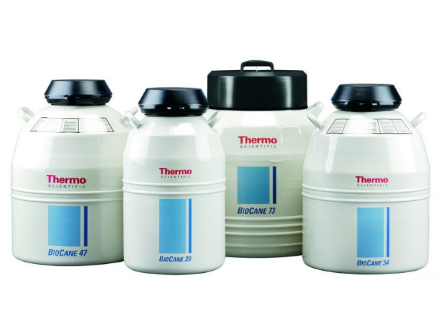 Криохранилище THERMO FISHER SCIENTIFIC Bio-Cane 34