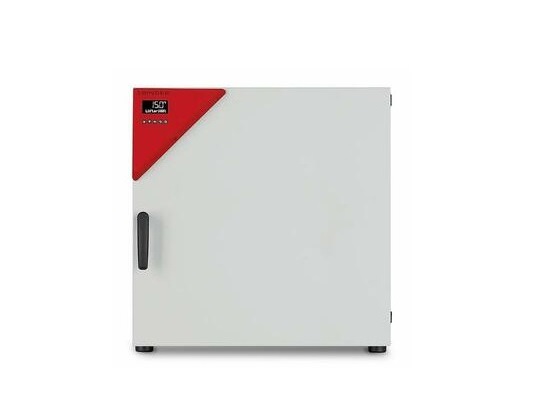 Шкаф сушильный BINDER FED 115 (FED115UL-120V)