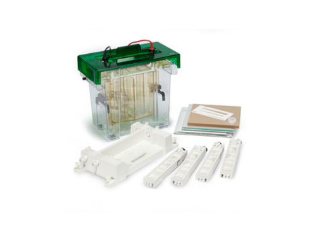 Электрофорезная вертикальная камера BIORAD Protean II xi Cell, 16х20 cм, 0,75 мм