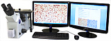 Система анализа изображений SIAMS 700