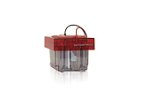 Электрофорезная вертикальная камера THERMO FISHER SCIENTIFIC XCell SureLock Midi-Cell