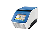 ДНК-амплификатор THERMO FISHER SCIENTIFIC Veriti с реакционным блоком 384×0,02 мл